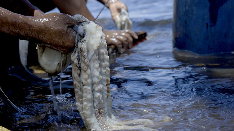 Fishing in Africa