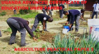 UGANDA ADVANCED CERTIFICATE OF EDUCATION AGRICULTURE  PRACTICAL PAPER THREE UNEB PAST PAPERS