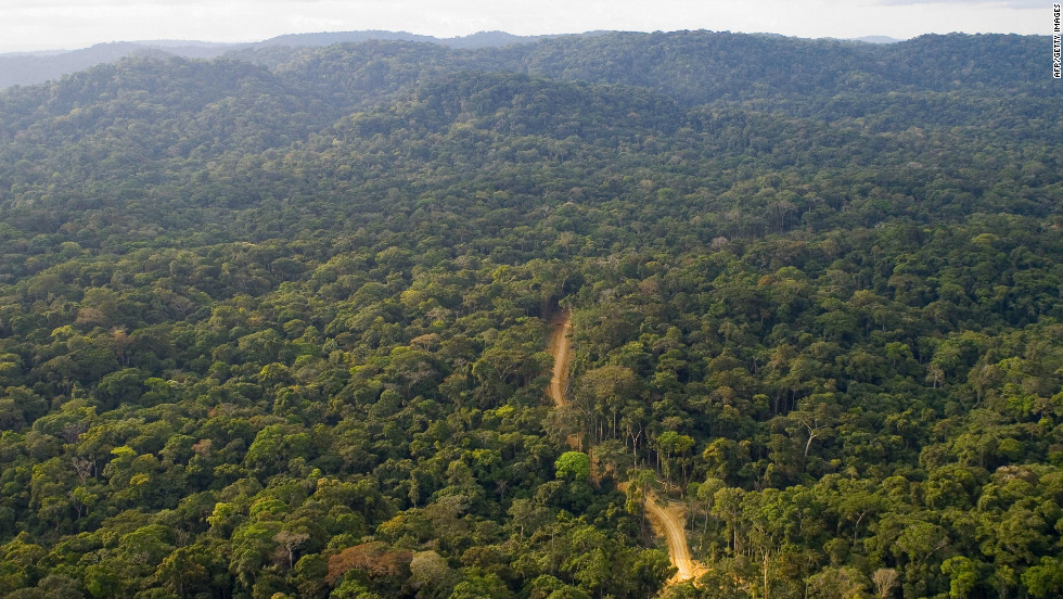 Forest Exploitation in Africa