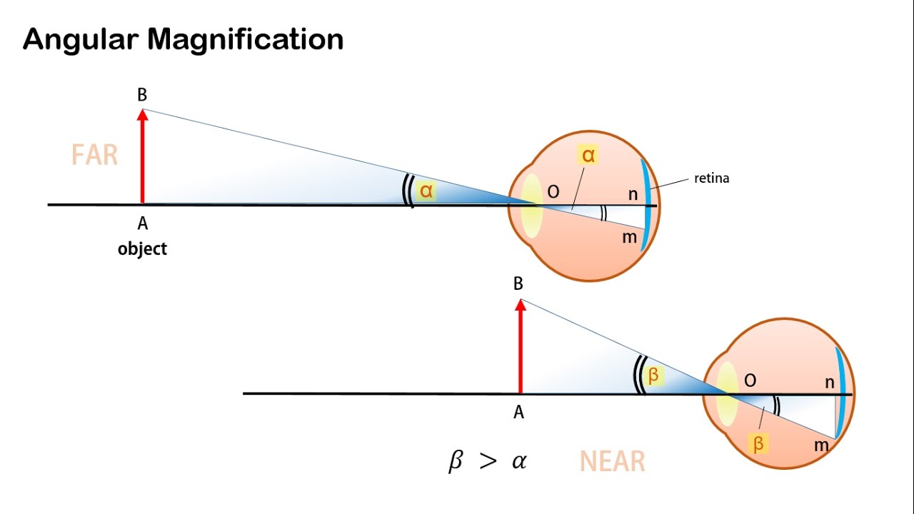 Magnification 1