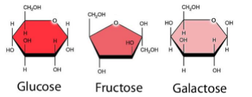 Chemicals of life