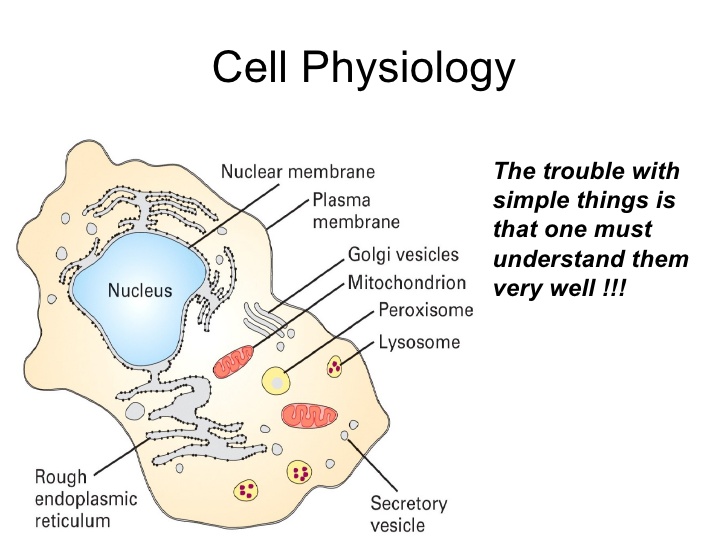 Cell-Physiology-Diffusion-Osmosisactive-Transport 1