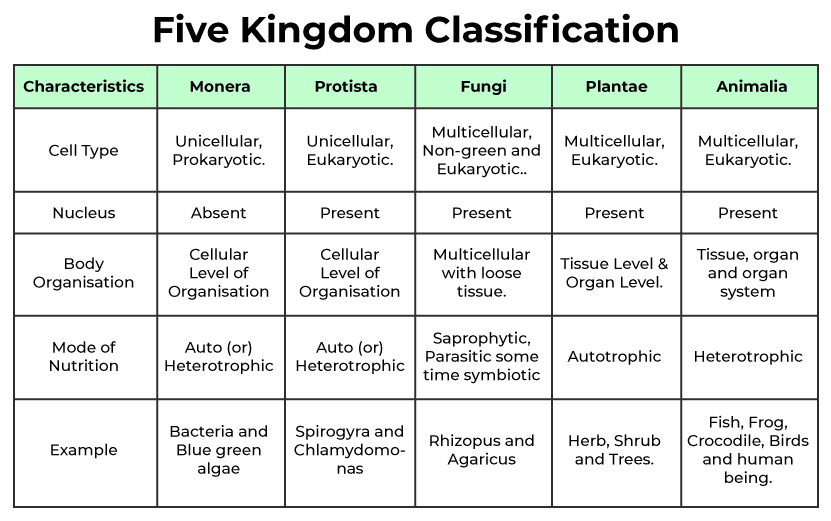 CLASSIFICATION