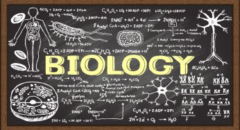 BIO1: SENIOR ONE BIOLOGY