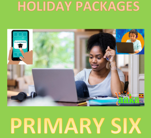 PRIMARY SIX HOLIDAY PACKAGE