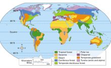  MAJOR CLIMATIC ZONES OF THE WORLD