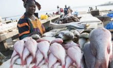 SUSTAINABLE USE OF FISHERIES RESOURCES IN EAST AFRICA