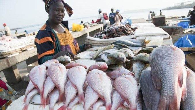 SUSTAINABLE USE OF FISHERIES RESOURCES IN EAST AFRICA