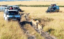 WILDLIFE CONSERVATION AND TOURISM IN EAST AFRICA