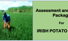 ATP IRISH POTATO FARMER-Directorate Of Industrial Training