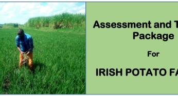 ATP IRISH POTATO FARMER-Directorate Of Industrial Training