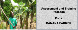 BANANA FARMER-Directorate Of Industrial Training