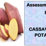 CASSAVA AND SWEET POTATO FARMER-Directorate Of Industrial Training