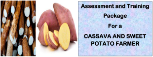 CASSAVA AND SWEET POTATO FARMER-Directorate Of Industrial Training