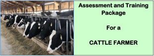 CATTLE FARMER-Directorate Of Industrial Training 1