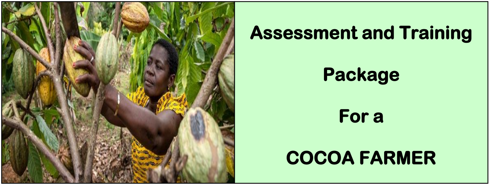 COCOA FARMER-Directorate Of Industrial Training