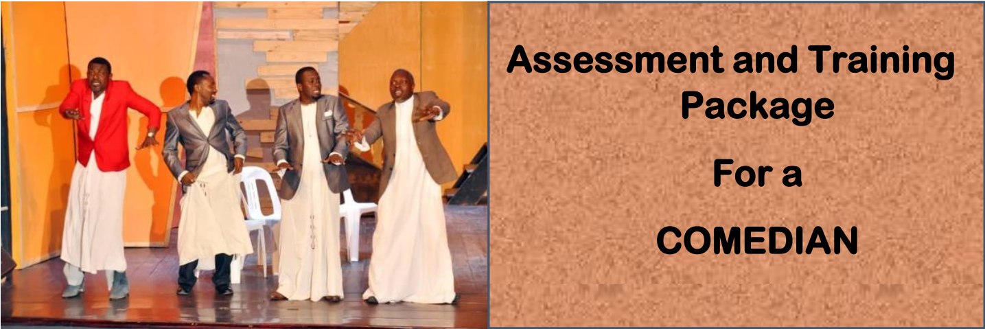 DIT-ASSESSMENT AND TRAINING PACKAGE FOR A COMEDIAN 14