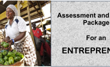 DIT-ASSESSMENT AND TRAINING PACKAGE FOR AN ENTREPRENEUR