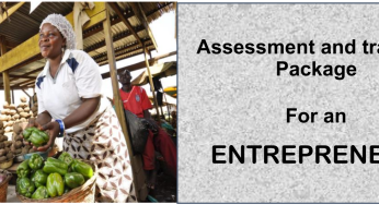 DIT-ASSESSMENT AND TRAINING PACKAGE FOR AN ENTREPRENEUR