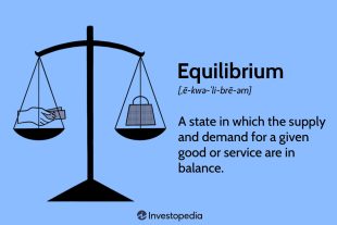 UNDERSTANDING THE DEMAND SUPPLY CURVE