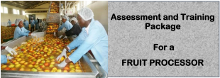 DIT-ASSESSMENT AND TRAINING PACKAGE FOR A FRUIT PROCESSOR