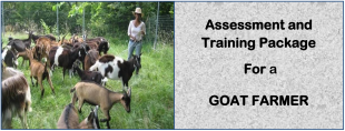 GOAT FARMER-Directorate Of Industrial Training