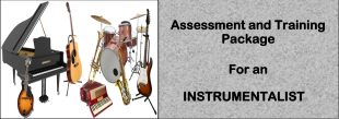 DIT-ASSESSMENT AND TRAINING PACKAGE FOR AN INSTRUMENTALIST 2