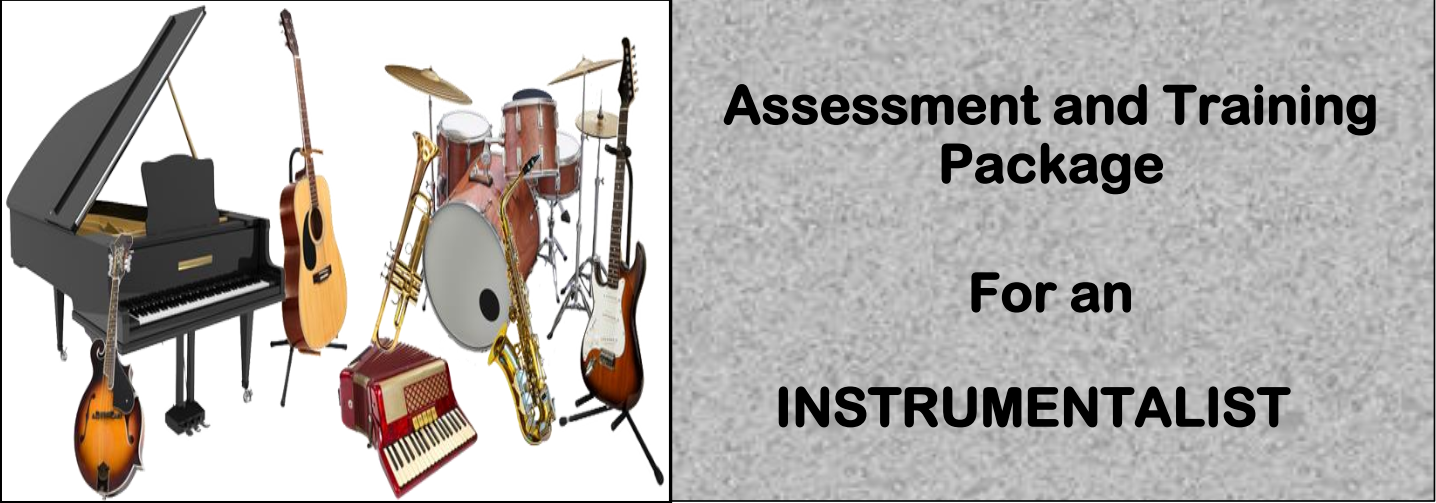 DIT-ASSESSMENT AND TRAINING PACKAGE FOR AN INSTRUMENTALIST 5