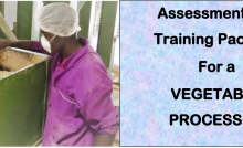 DIT-ASSESSMENT AND TRAINING PACKAGE FOR A VEGETABLE PROCESSOR