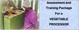 DIT-ASSESSMENT AND TRAINING PACKAGE FOR A VEGETABLE PROCESSOR