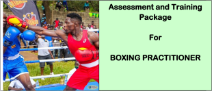 BOXING PRACTITIONER- Directorate of Industrial Training 3