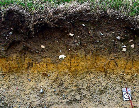 Physical and Chemical Properties of Soil