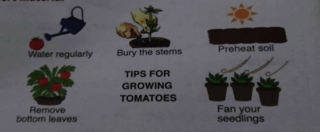 Sample Activity of Integration – Nutrition in Green Plants 1