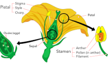 Reproduction in Plants