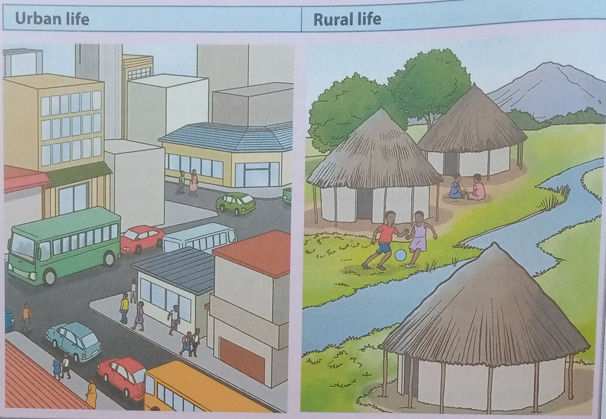 Sample activity of integration on LSC S1:Urban and rural life 1