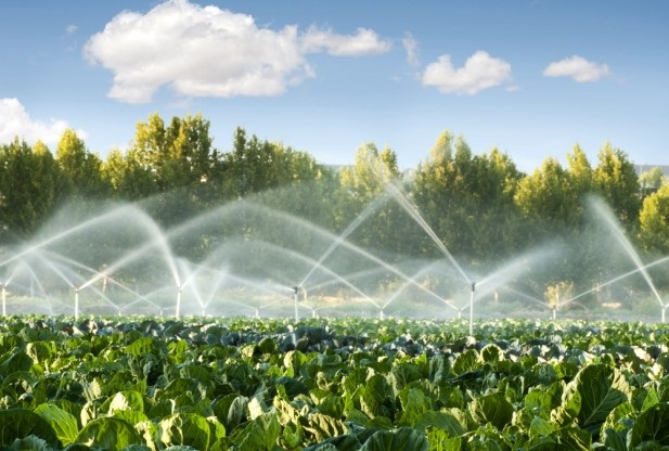 Irrigation farming in Africa 1