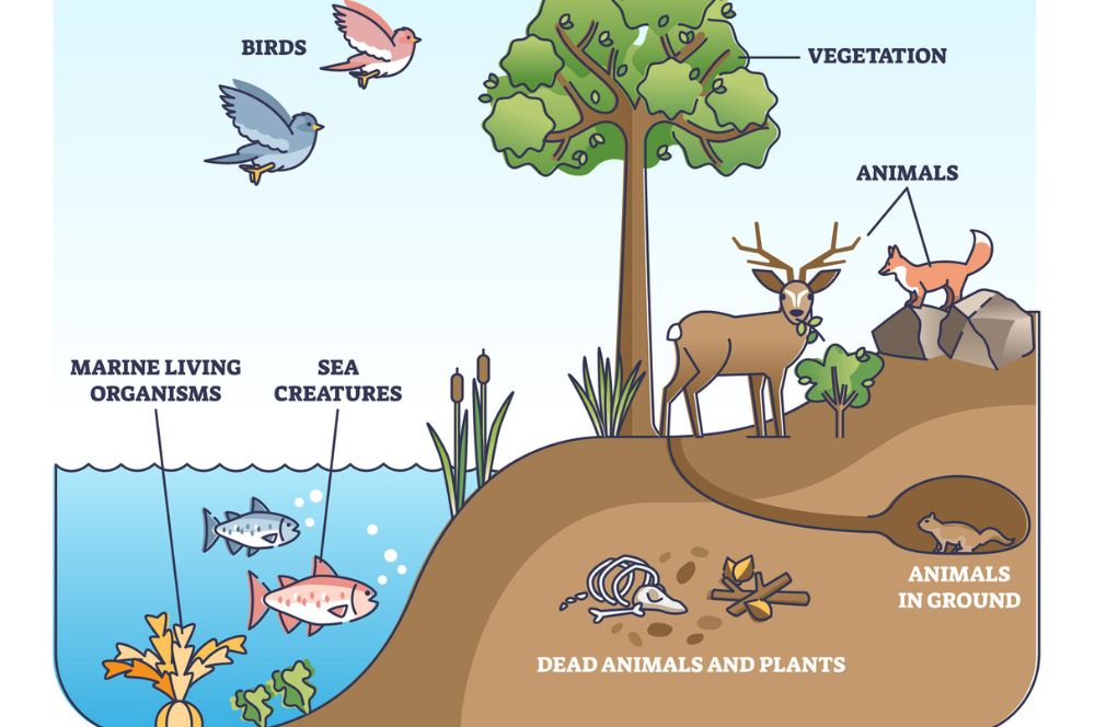 Chapter 6: Concept of Ecology 1