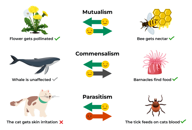 Chapter 8: Associations in Biological Communities 1