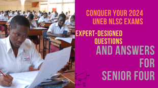 Conquer Your 2024 UNEB NLSC Exams: Expert-Designed Questions and Answers for Senior Four Set Three 1